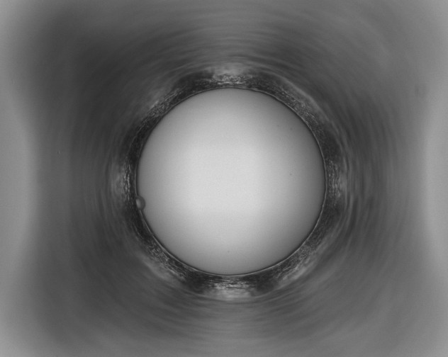 X0000116650603200912211448