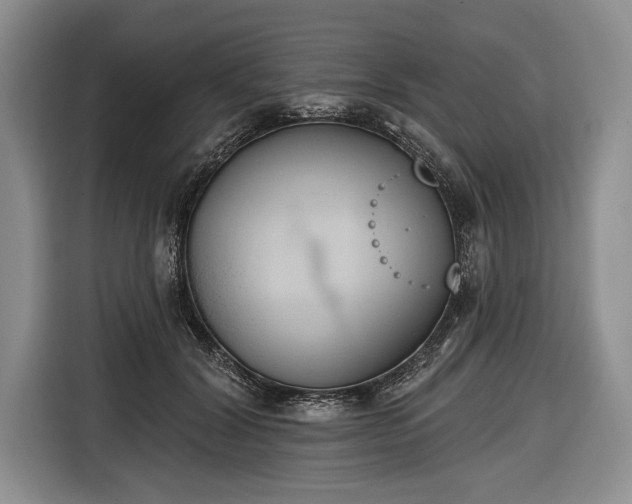 X0000116650604200912211448