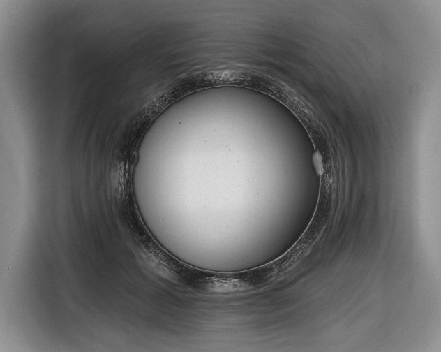 X0000116650605200912211448
