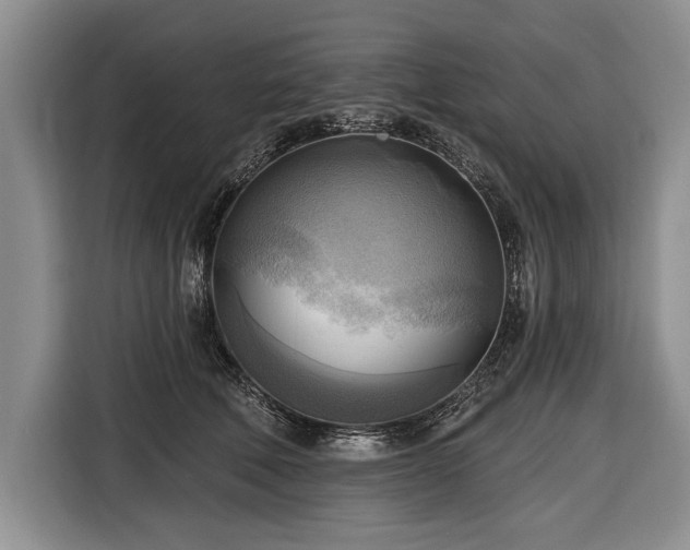 X0000116650610200912211448