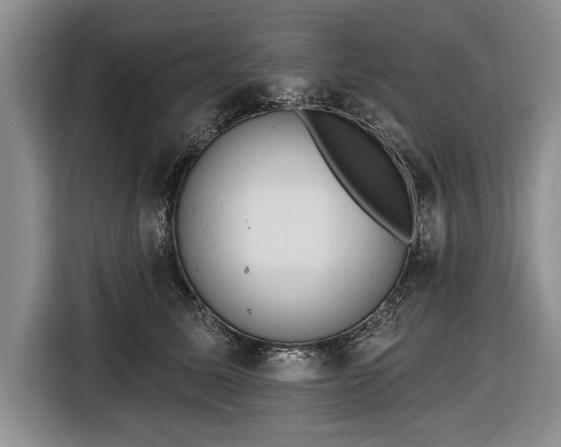 X0000116650611200912211448