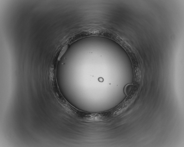 X0000116650612200912211448