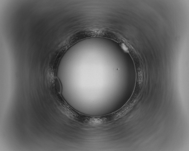 X0000116650613200912211448