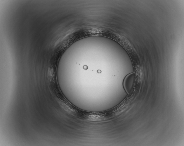 X0000116650614200912211448