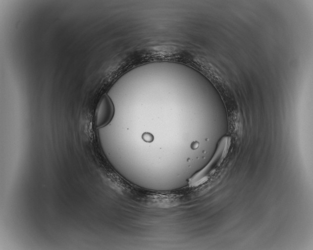 X0000116650615200912211448