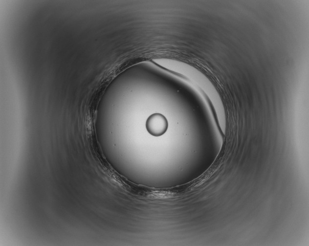 X0000116650617200912211448