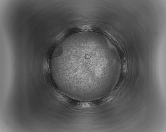 X0000116650618200912211448
