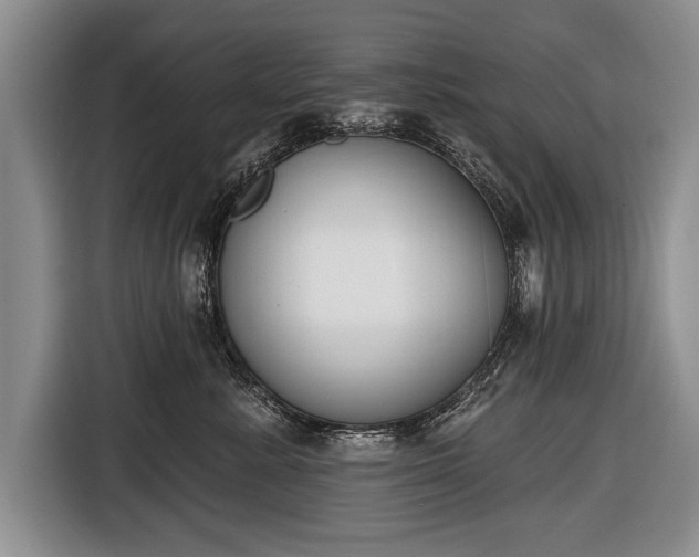 X0000116650619200912211448