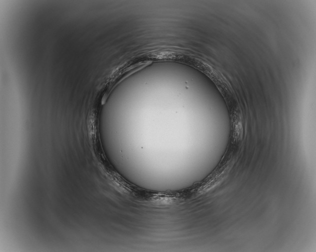 X0000116650620200912211448