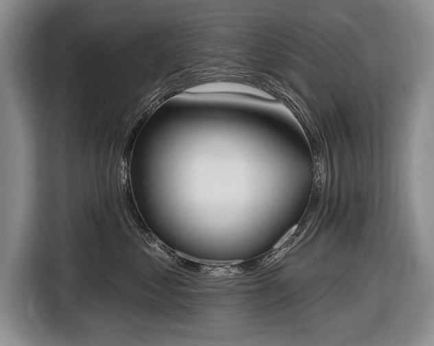 X0000116650621200912211448