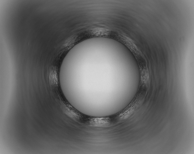 X0000116650622200912211448