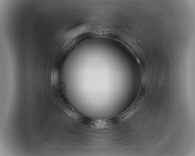 X0000116650623200912211448