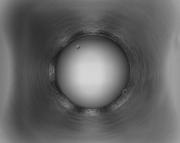X0000116650624200912211448