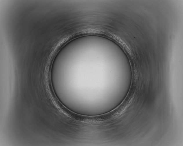 X0000116650625200912211448