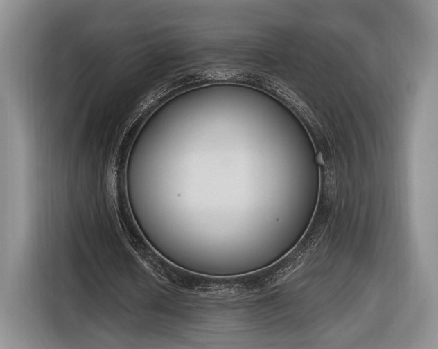 X0000116650626200912211448