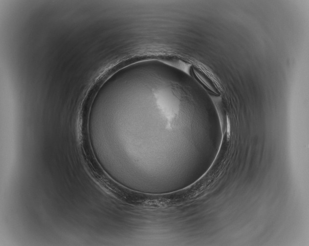 X0000116650627200912211448