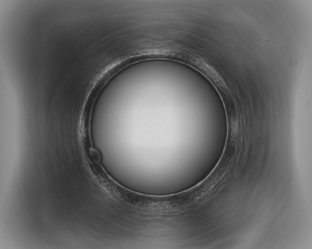 X0000116650628200912211448