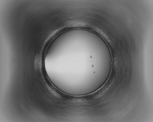 X0000116650629200912211448
