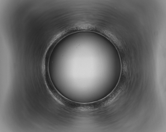 X0000116650630200912211448