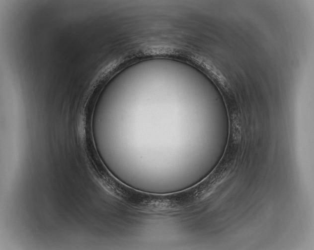 X0000116650631200912211448