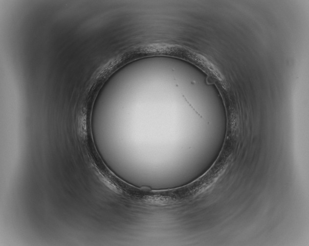 X0000116650633200912211448