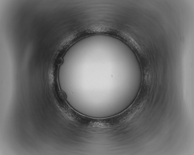 X0000116650635200912211448