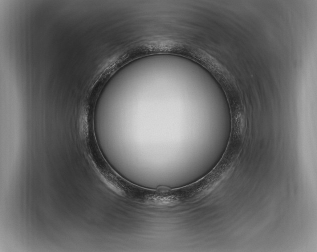 X0000116650638200912211448