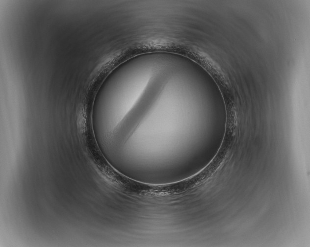 X0000116650640200912211448