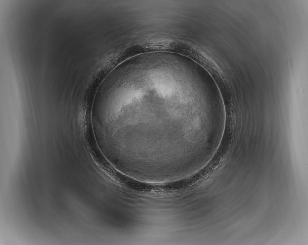 X0000116650641200912211448