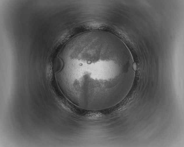 X0000116650642200912211448