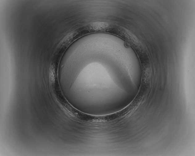 X0000116650644200912211448