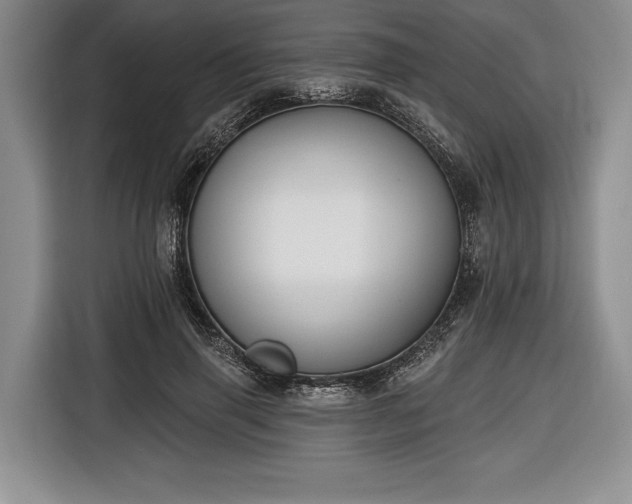 X0000116650645200912211448