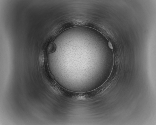 X0000116650647200912211448