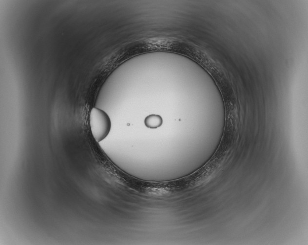 X0000116650649200912211448