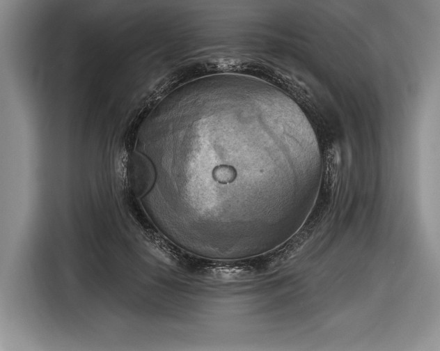 X0000116650650200912211448