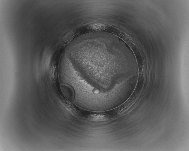 X0000116650651200912211448