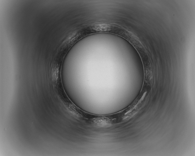 X0000116650652200912211448