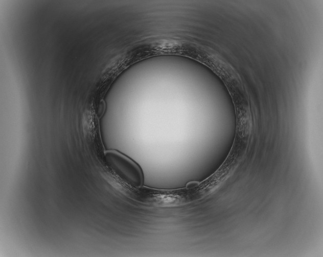 X0000116650654200912211448