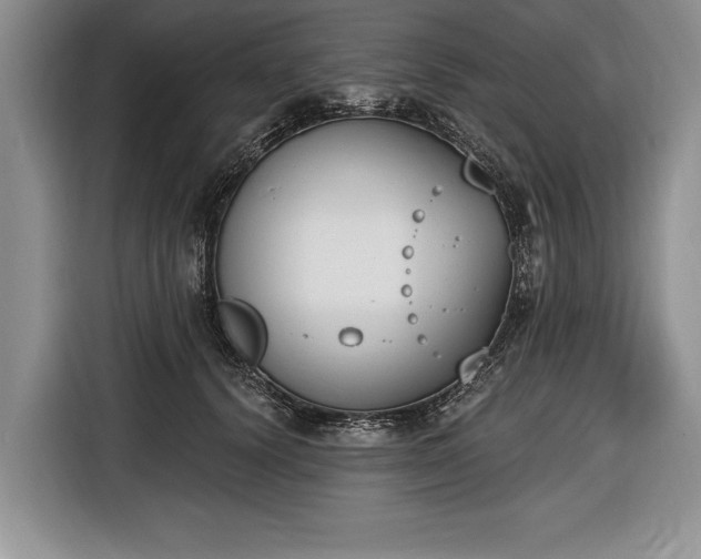 X0000116650656200912211448