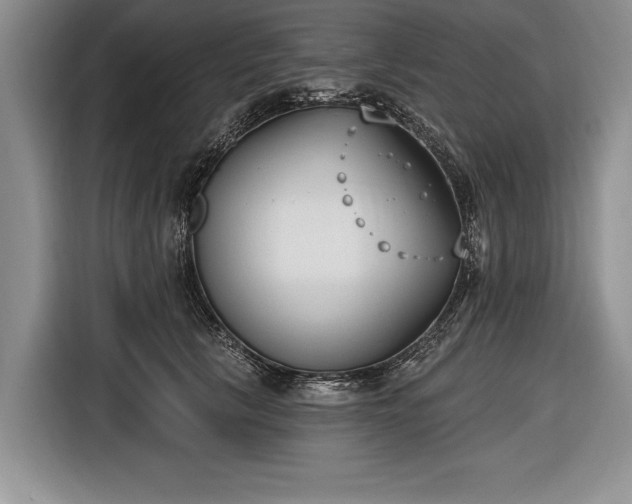X0000116650657200912211448