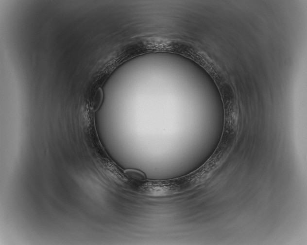 X0000116650658200912211448
