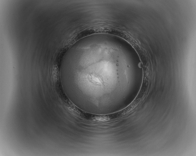 X0000116650659200912211448