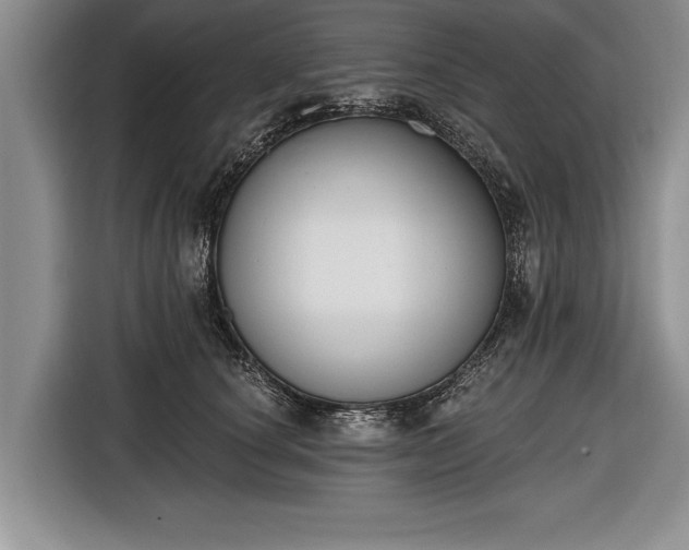 X0000116650660200912211448
