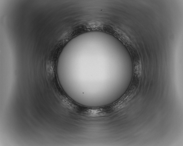 X0000116650662200912211448