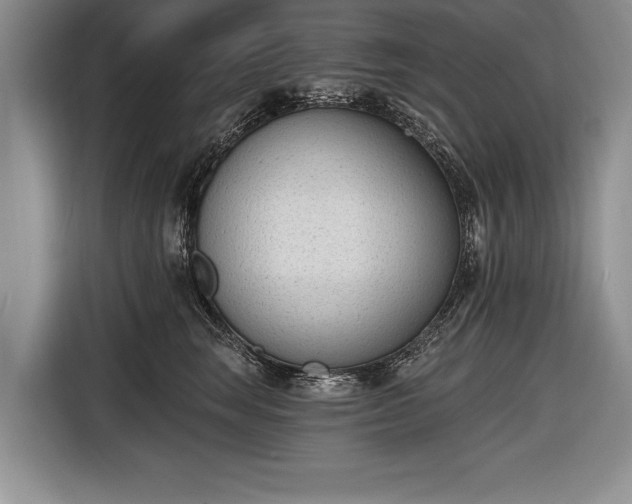 X0000116650663200912211448