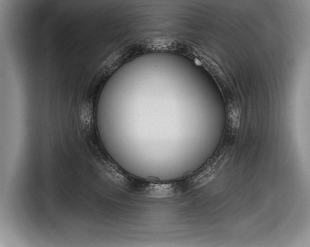 X0000116650665200912211448