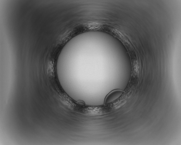 X0000116650667200912211448