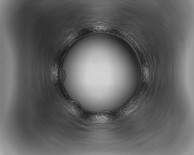 X0000116650668200912211448