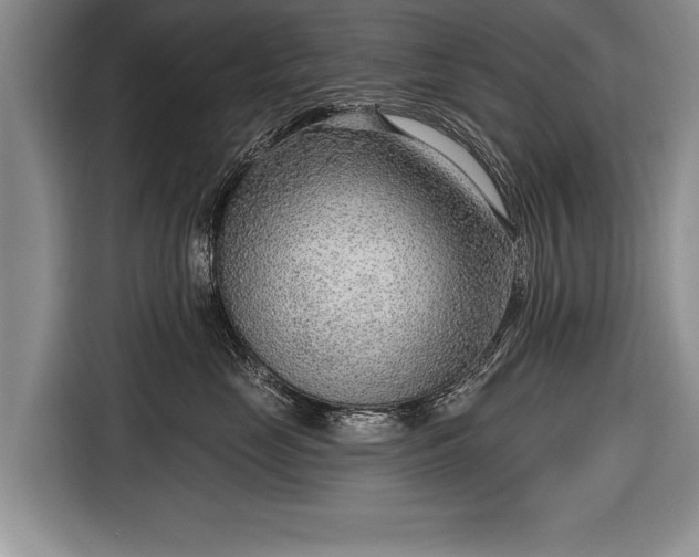 X0000116650669200912211448