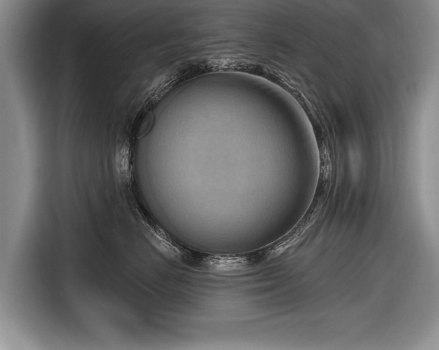 X0000116650670200912211448